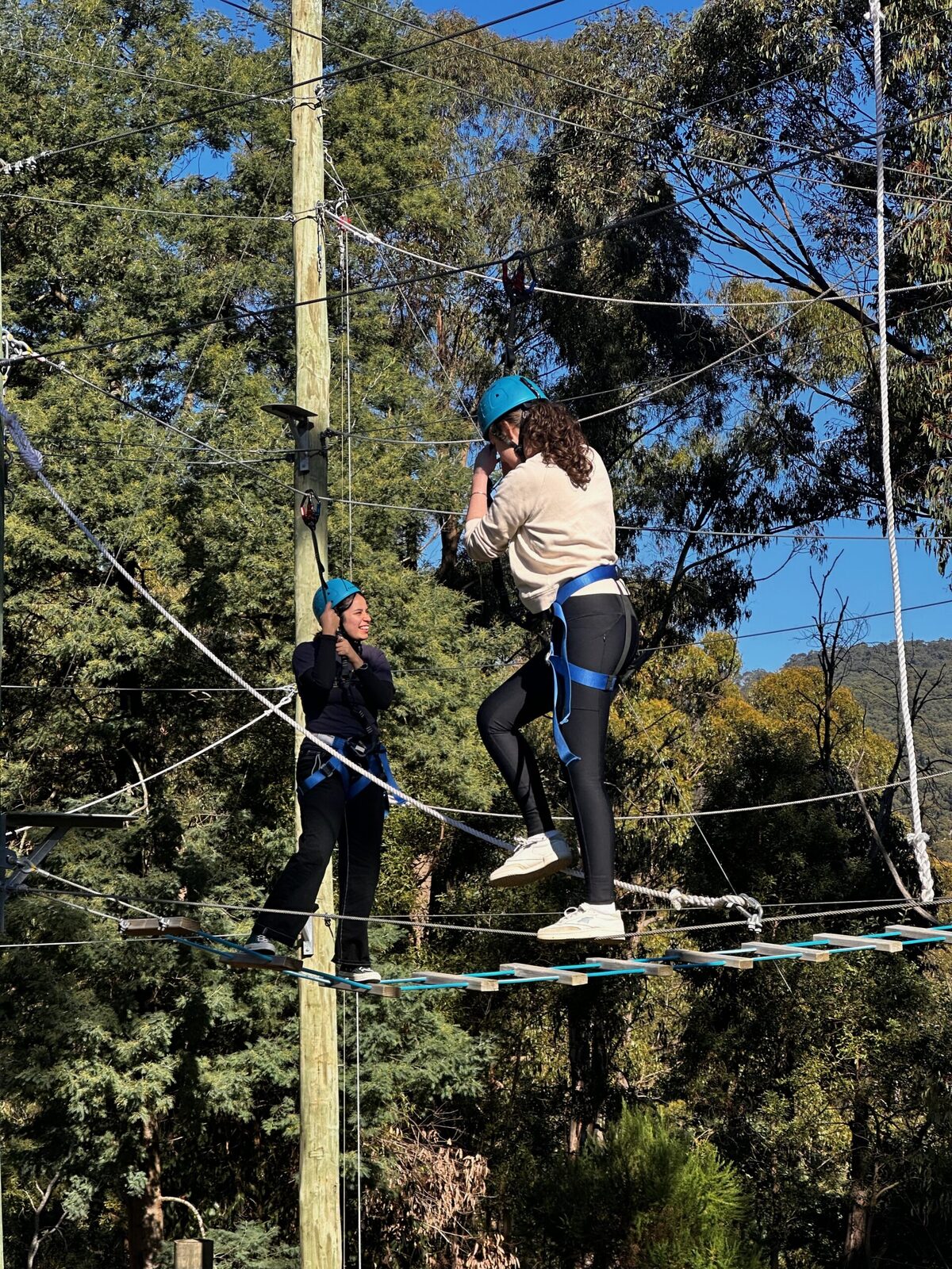 A camper on the high ropes course